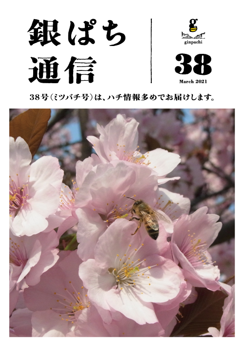 ginpachi tsushin 38