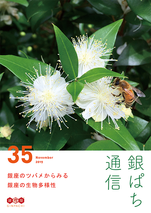 GINPACHI_TSUSHIN_35